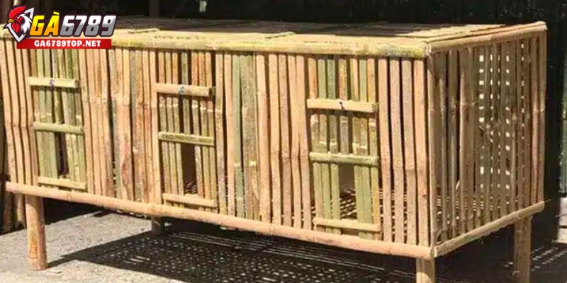 Cách Làm Chuồng Gà Bằng Gỗ Truyền Thống, Thẩm Mỹ
