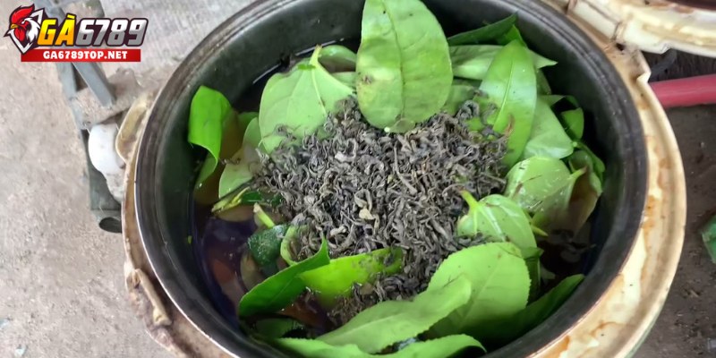Vì sao cần om gà chọi?

