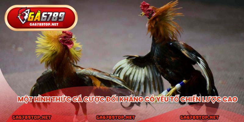 Một hình thức cá cược đối kháng có yếu tố chiến lược cao