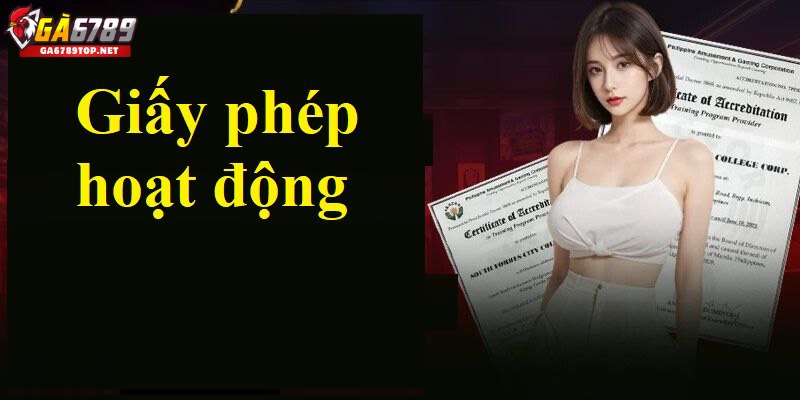 Định Nghĩa Về Giấy Phép Hoạt Động GA6789